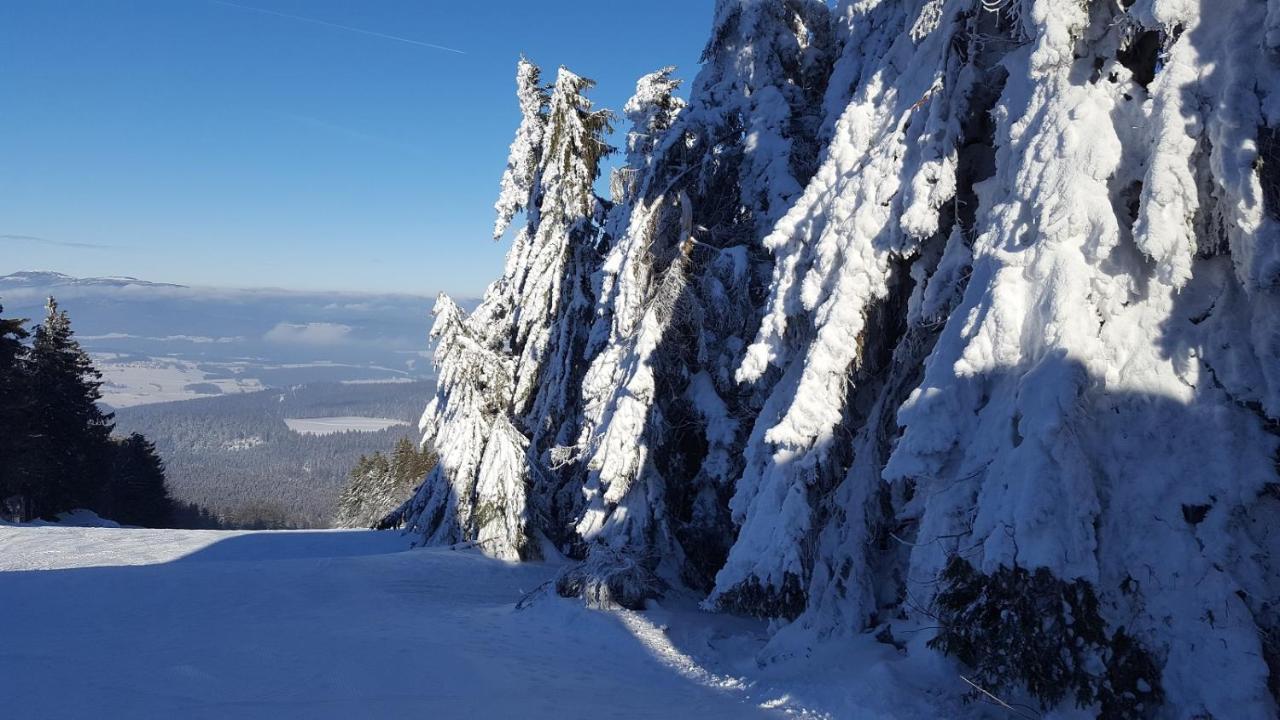 Ferienwohnung Am Kirchberg Achslach Exteriér fotografie